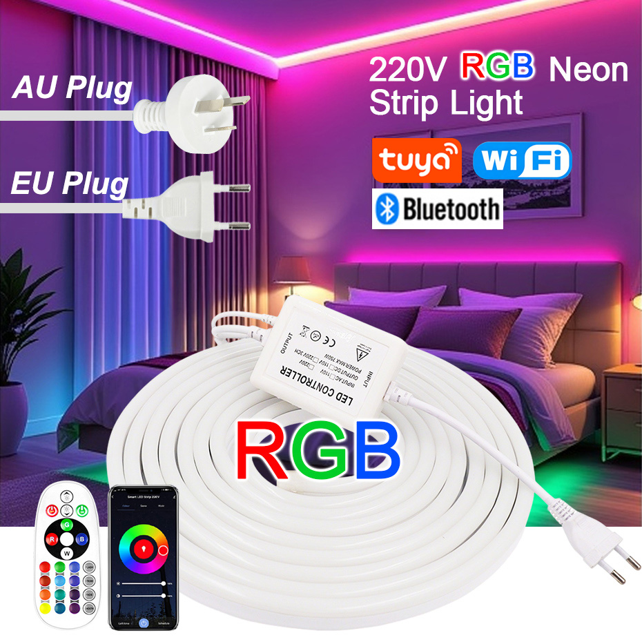 Outdoor Power Hub - 220V RGB LED Neon Strip met